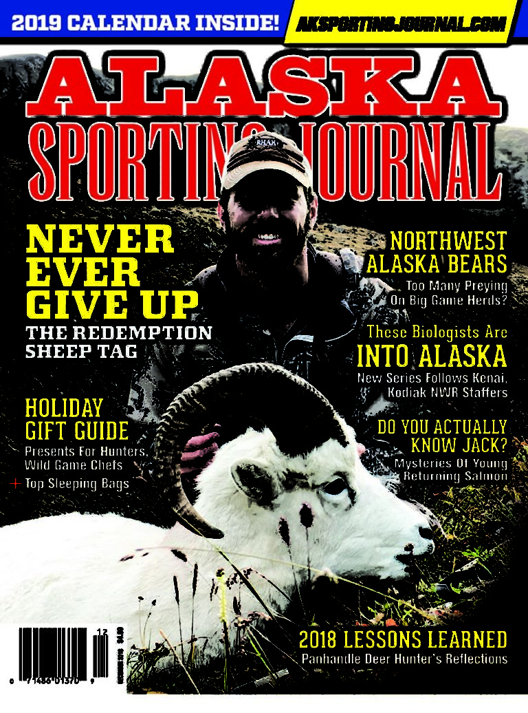 Super 10 with an AR — Alaska Shooting Journal